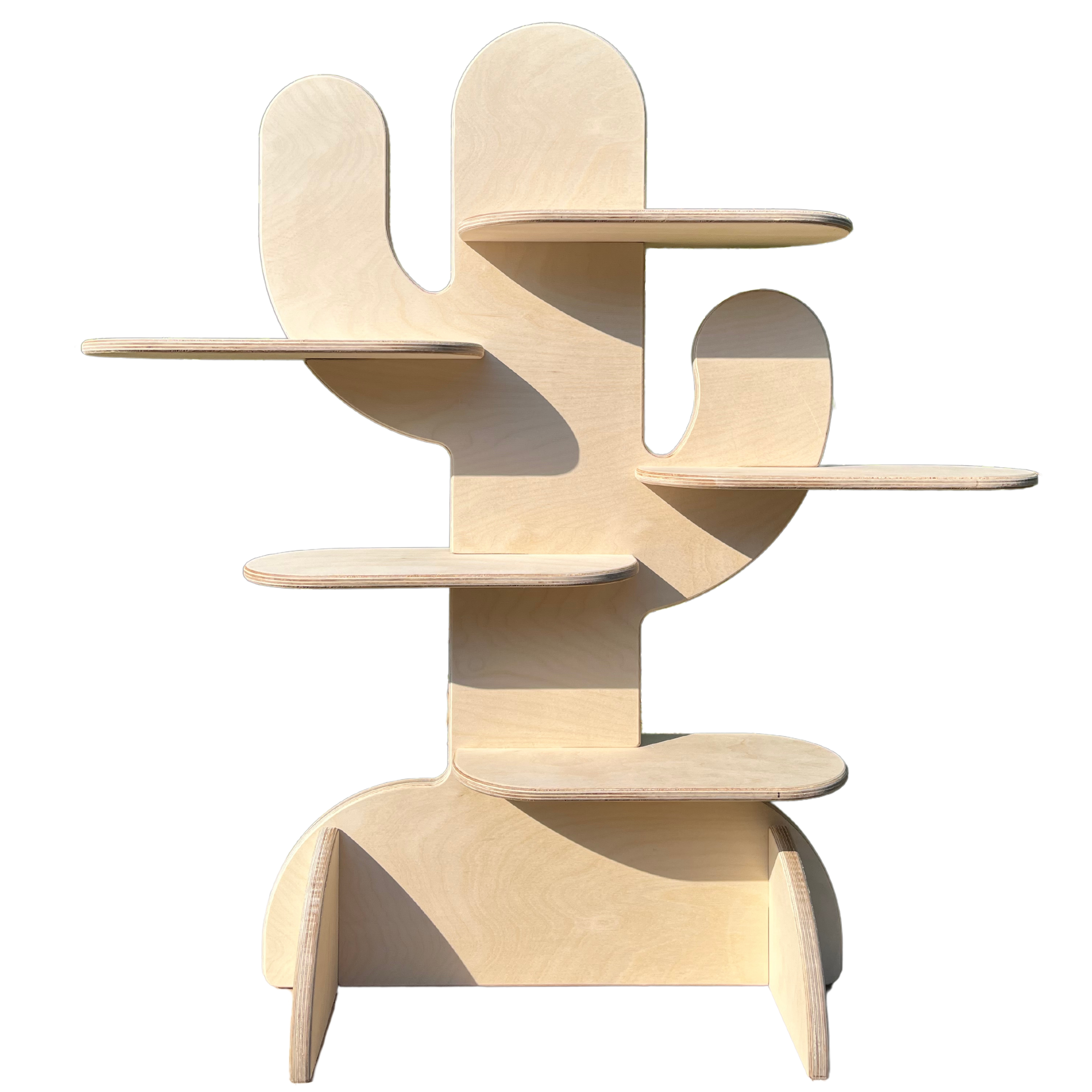 Cactus Sergileme Standı #TR1004